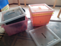 5 IKEA plastic bins with Casters/Wheels,