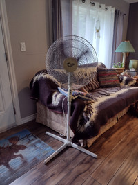 large Fan for cottage or home