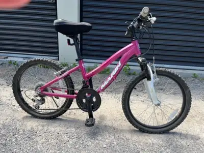 Vélo de qualité de marque MARIN (Hidden Canyon 20’’) – Rose fush, View more