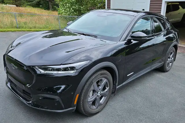 2023 Ford Mustang mach e 556564748583587843