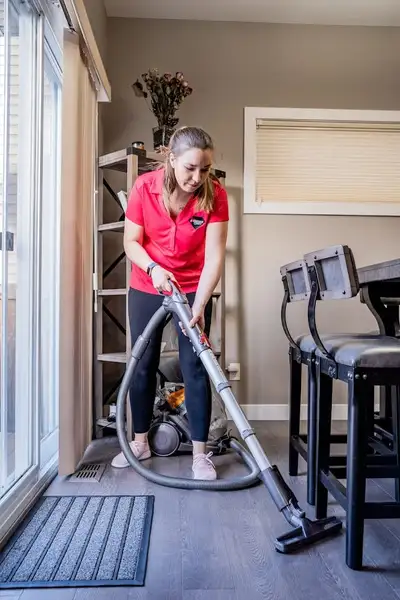Cleaners, Cleaning, House cleaner, Cleaning lady  6477240738, View more