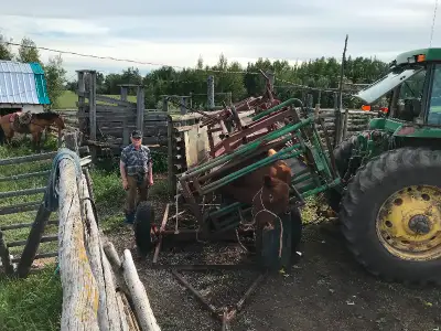 Cattle hoof trimming, View more