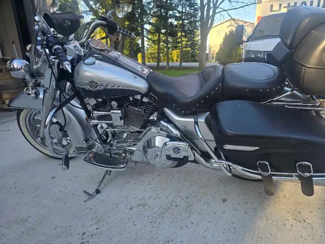 Riding Partner 