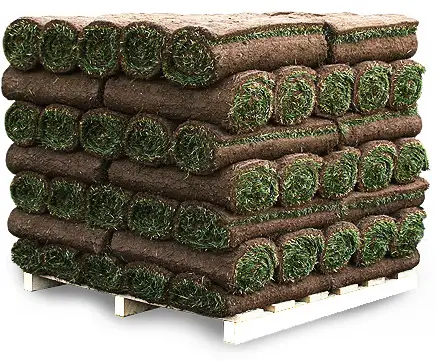 LAWN REPLACE , ROTOR TILL , TOP SOIL ,KENTUCKY SOD!!!64319062322817122