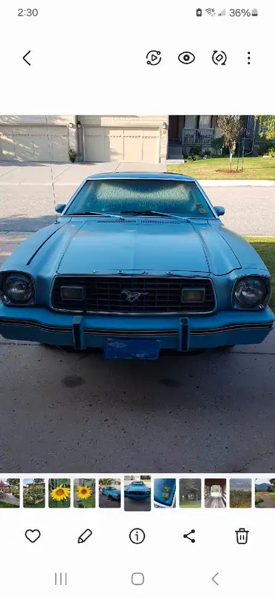 Mustang || 1978 V8