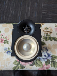 PARADIGM COMBINED SPEAKER