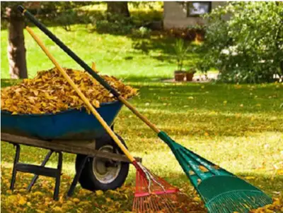 CASH JOB !!! PAINTING RAKING MOVING, View more