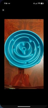 dog bowl  Oshawa / Durham Region Toronto (GTA) Preview