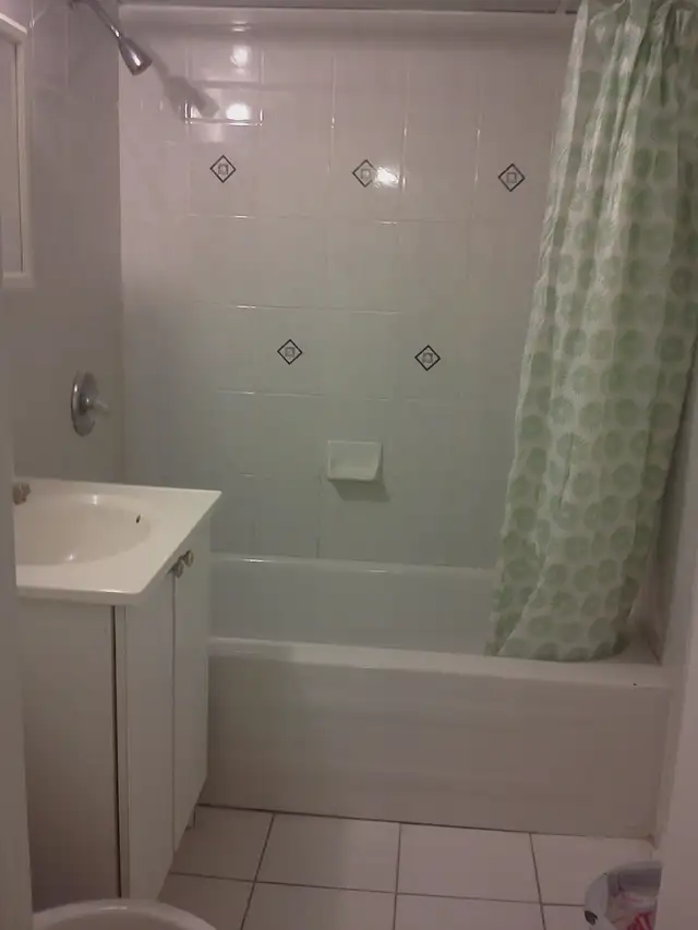 Finch/Victoria park, separate entrance basement one private room63838172301059121