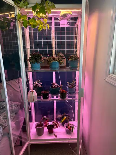 IKEA MILSBOGlass-door cabinet, white with grow lights $200 OBO, View more