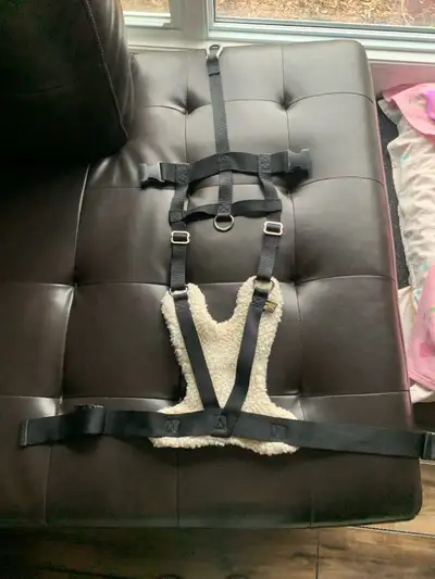 Dog car harness, View more