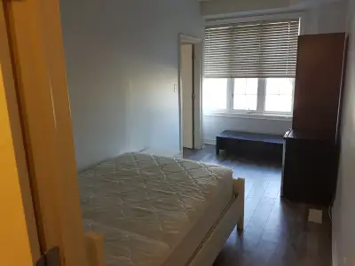 Best room - big windows, furnished, ensuite! Finch West TTC!