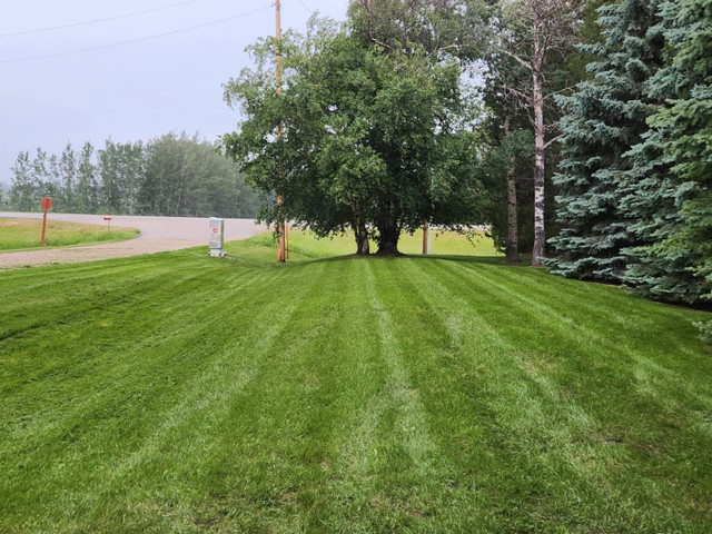 Spring Clean Up's and Lawn Care Services in Lawn, Tree Maintenance & Eavestrough in Red Deer - Image 4