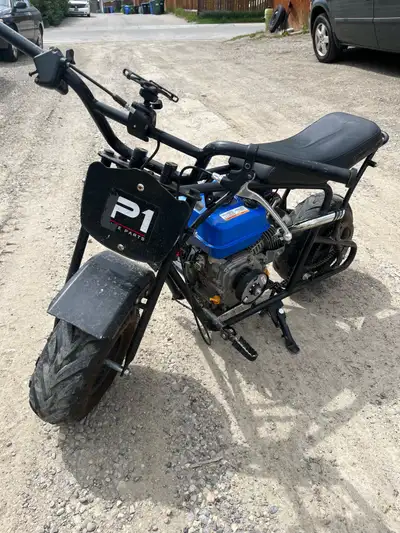 best coleman mini bike B200C MINI BIKE