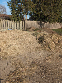 FREE  wood chips FREE mulch chips 