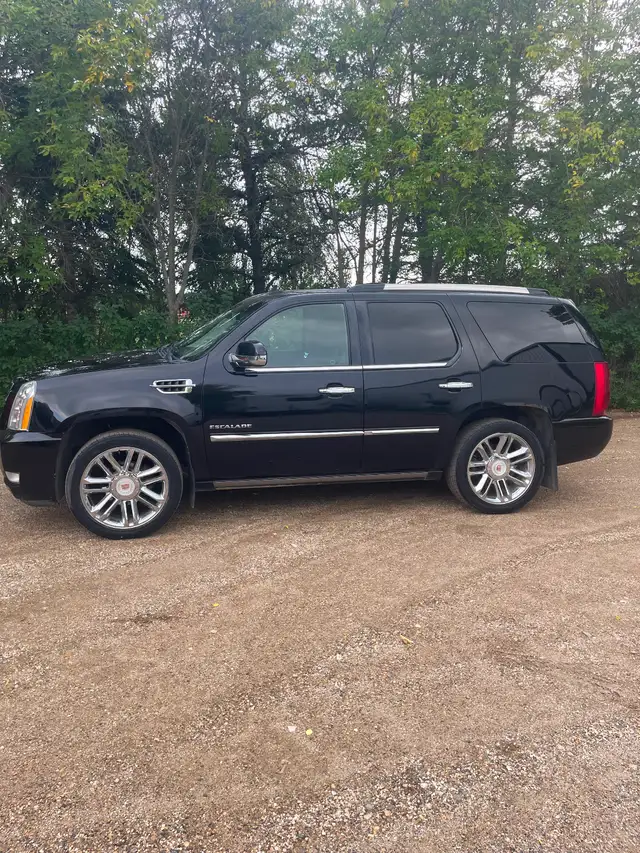 2012 Escalade Platinum