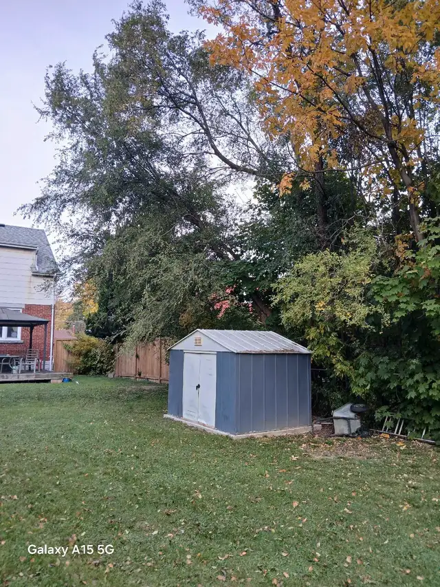 tree service62863222105730124