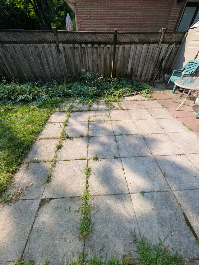 Gardening Services537541463622952965