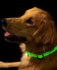 NEW USB Rechargable LED Pet Collar  (4 Colours, sizes S, M, L)