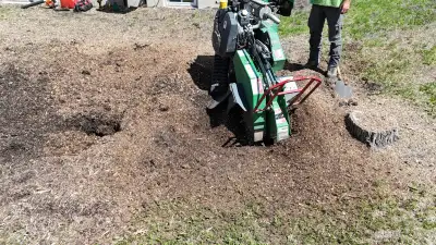 Fast Stump Grinding, View more