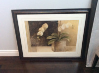 35” x 45” Framed with Glass Picture of Orchid