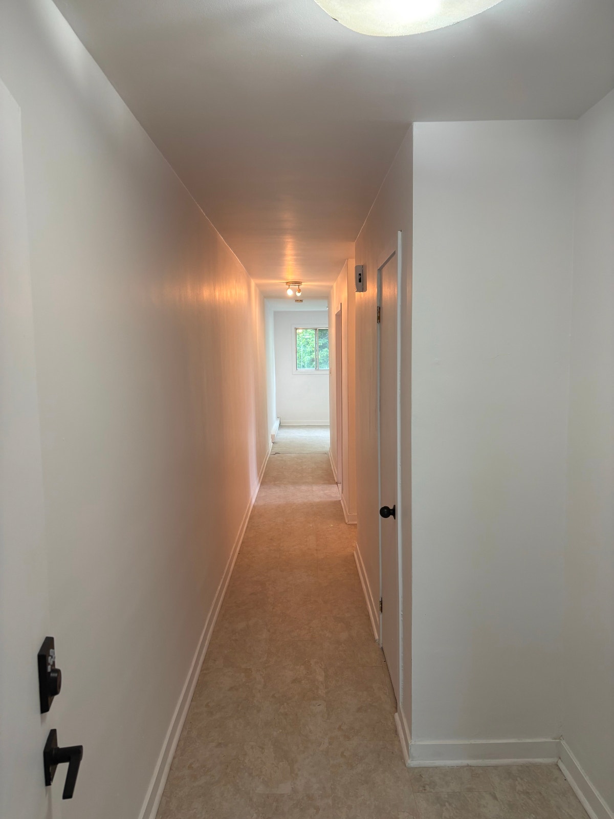 2 Beds 1 Bath - Apartment (Immediately Available) — photo 3