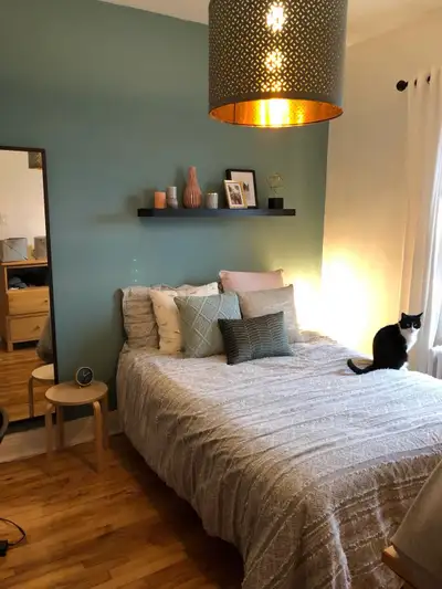 Chambre à louer