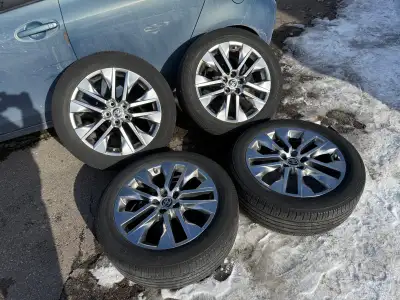 You can use them on a 2013-2026 Toyota RAV4, or 2011-2026 Toyota Sienna, or Highlander 2007-2026 or...