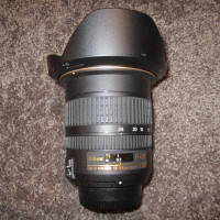 Nikon 12-24 1:4 DX lens