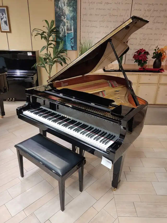 Yamaha Grand Piano C3 in Pianos & Keyboards in Longueuil / South Shore - Image 2