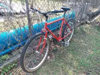 Raleigh Bike