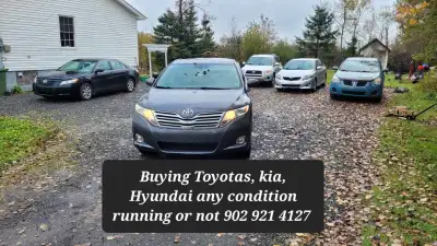 Buying Toyotas, Kia, Hyundai in any shape, running or broke