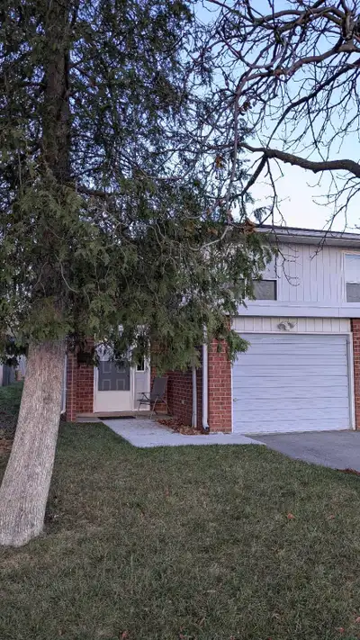 Clean, bright, three-bedroom family home, 4-piece bathroom, fresh paint throughout, carpets freshly...