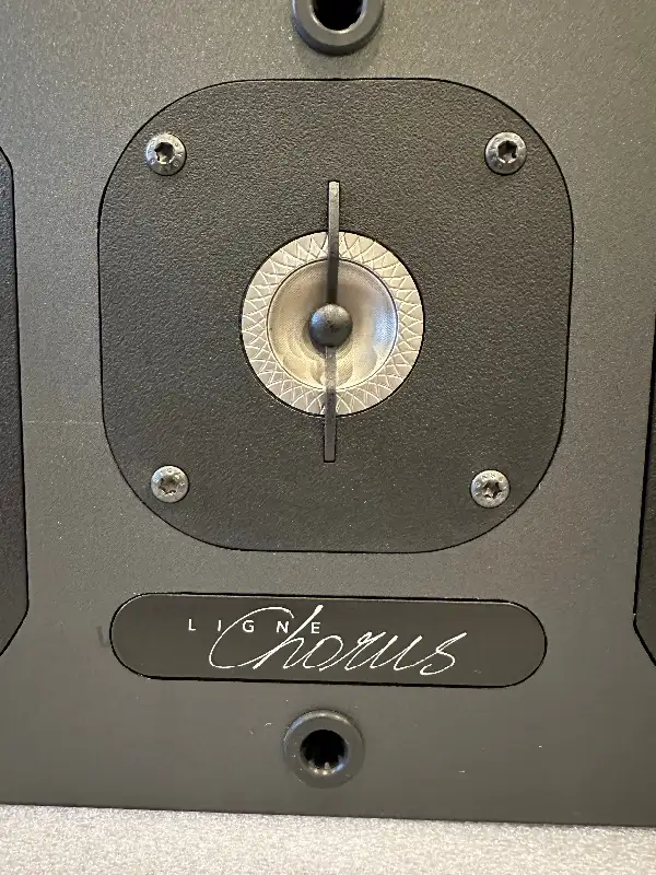 Speaker in Speakers in Markham / York Region - Image 3