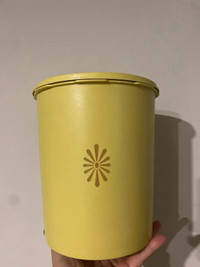 Vintage Tupperware Container