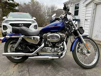 2007 Harley-Davidson Sportster XL1200 Custom. New MVI and rear tire and shows 31,705 kms on the odom...
