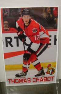 NHL Hockey Picture/Print Thomas Chabot Ottawa Senators