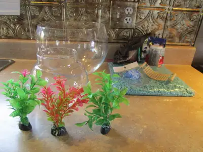 Aquarium et accessoires pour Beta ou petits poissons, View more
