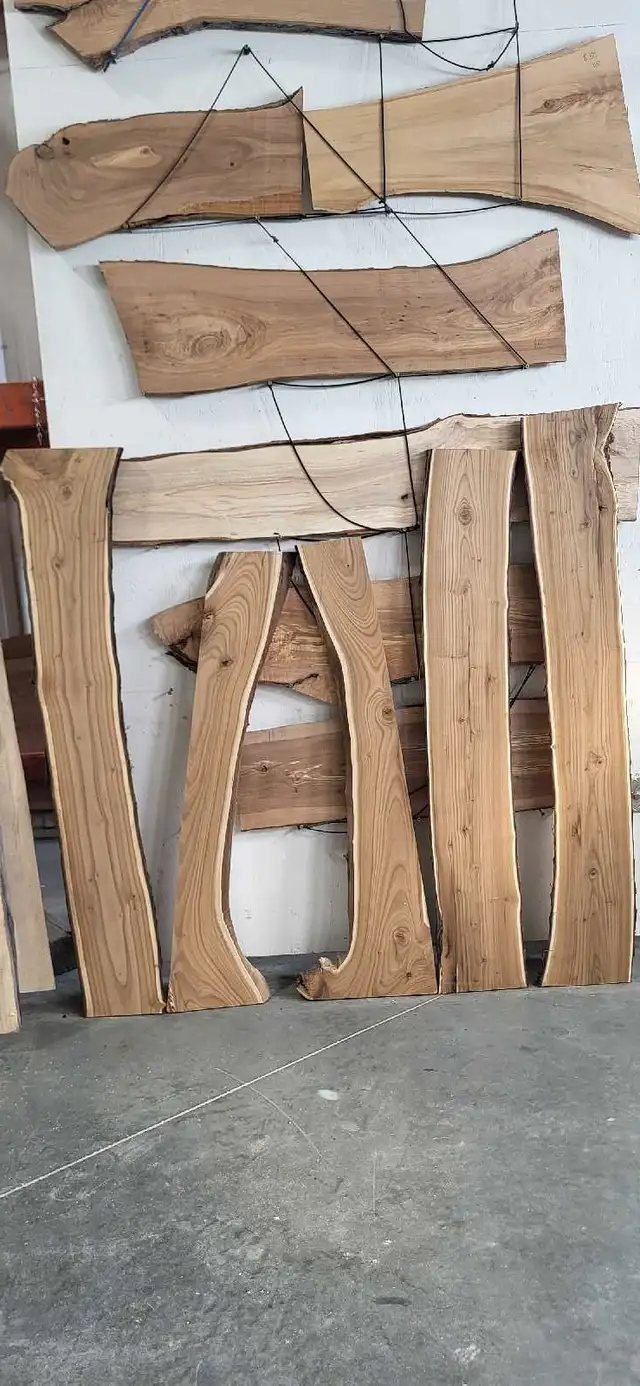 Live edge Russian olive in Other in Winnipeg - Image 4