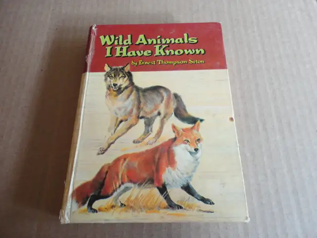 Selection of Children Vintage Adventure Books in Children & Young Adult in Oakville / Halton Region - Image 9