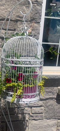 Vintage huge iron bird cage ONLY