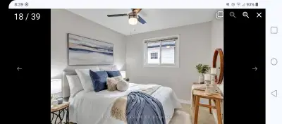 July 16 - ONE ROOM in SHARED BSMT - All included