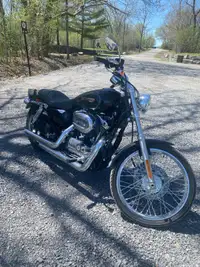 2009 Harley sportster 1200 custom 