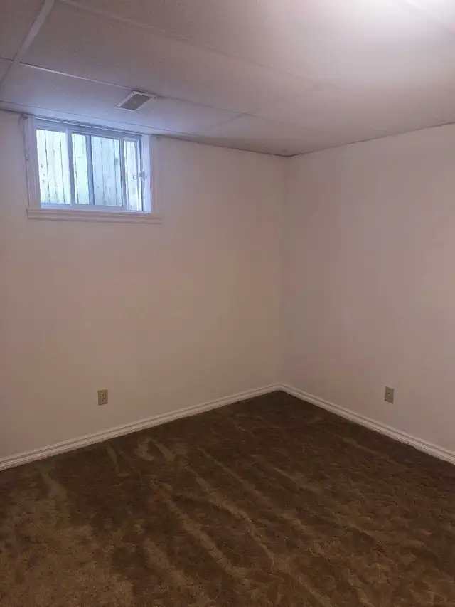 Cozy Room in Westboro Family Home in Room Rentals & Roommates in Ottawa - Image 3