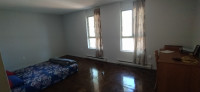 3 Rooms available for rent in Brampton.