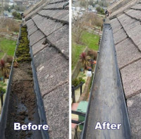 Gutter Cleaning