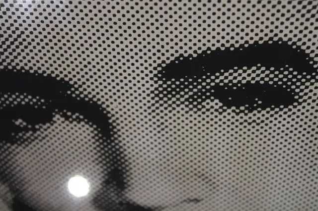 Vintage Elvis Presley Reverse Painted Mirror Wall Art in Arts & Collectibles in City of Toronto - Image 8