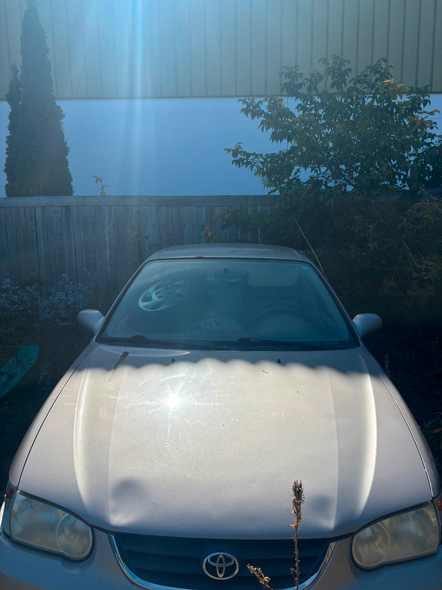 2001 Toyota Corolla MAKE ME AN OFFER in Cars & Trucks in Ottawa - Image 2