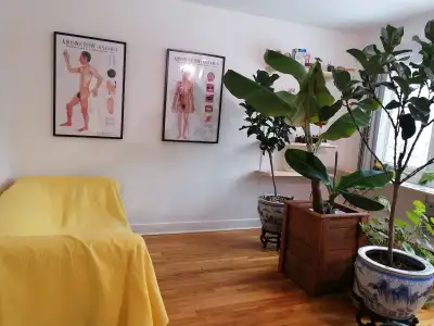 Libérez Vos Douleurs : Massage Thérapeutique MTC & Bien-être Solutions ancestrales de médecine chino...