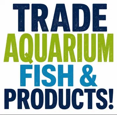 Trade aquarium fish, plants, supplies , View more